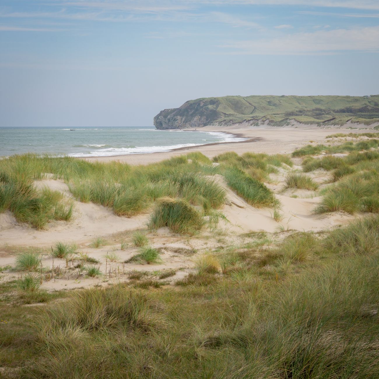 Klitter og strand ved den danske kyst